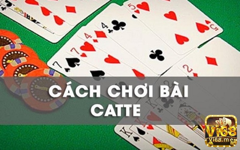 Cách chơi game bài catte online